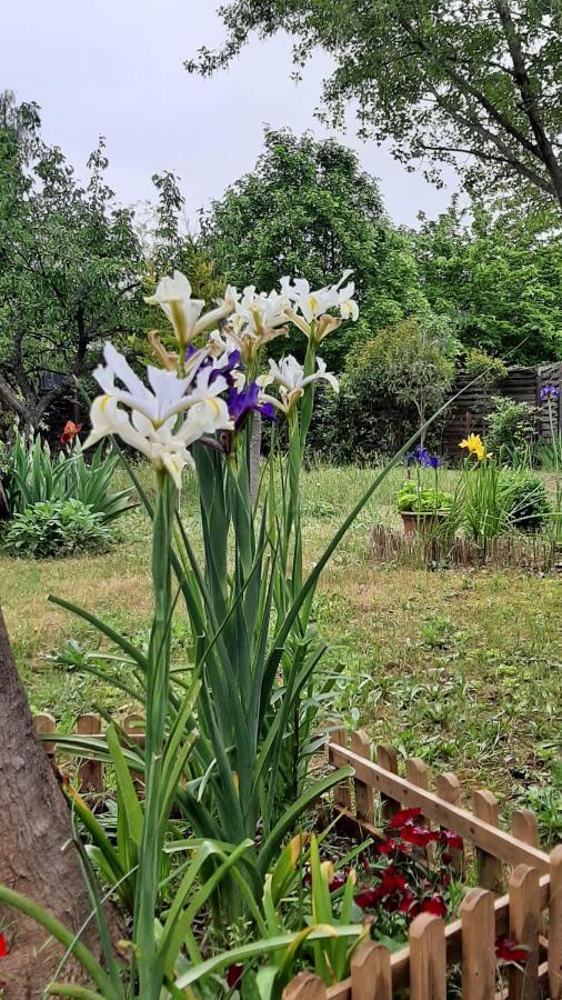 Maison Lumineuse Et Spacieuse Avec Jardin Arbore Ла-Валетт-дю-Вар Экстерьер фото